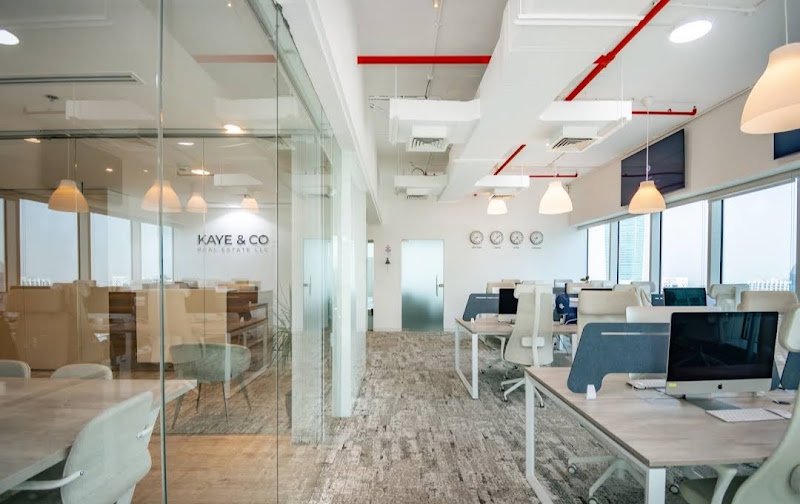 KAYE & CO REAL ESTATE L.L.C. cover